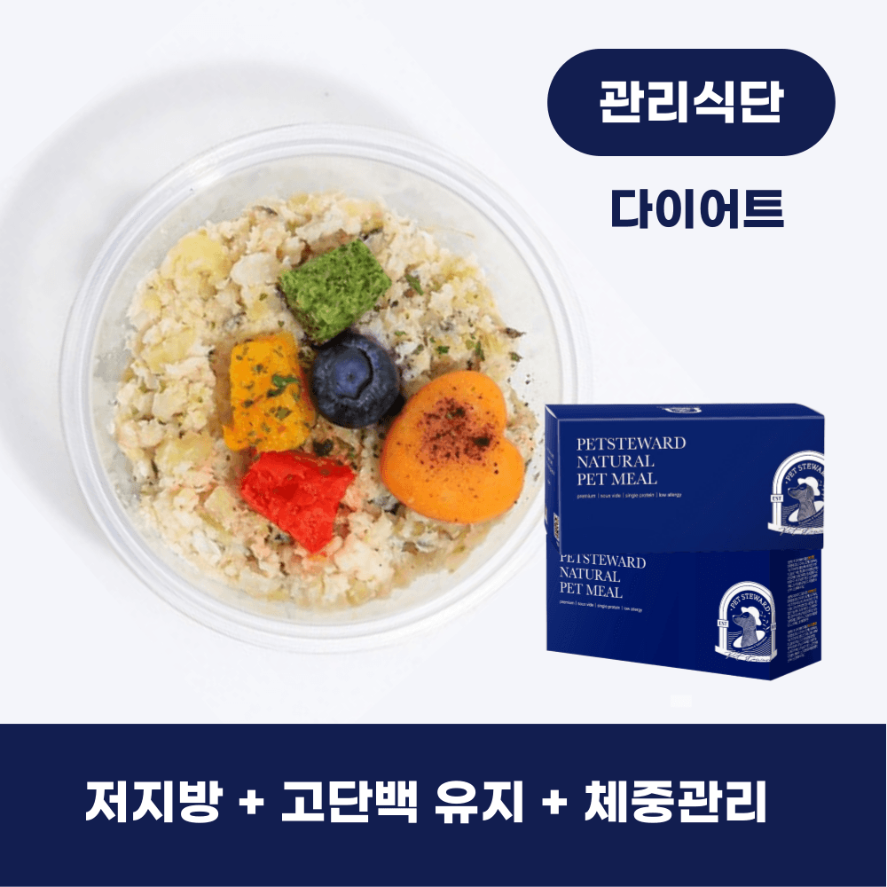 다이어트 관리식단