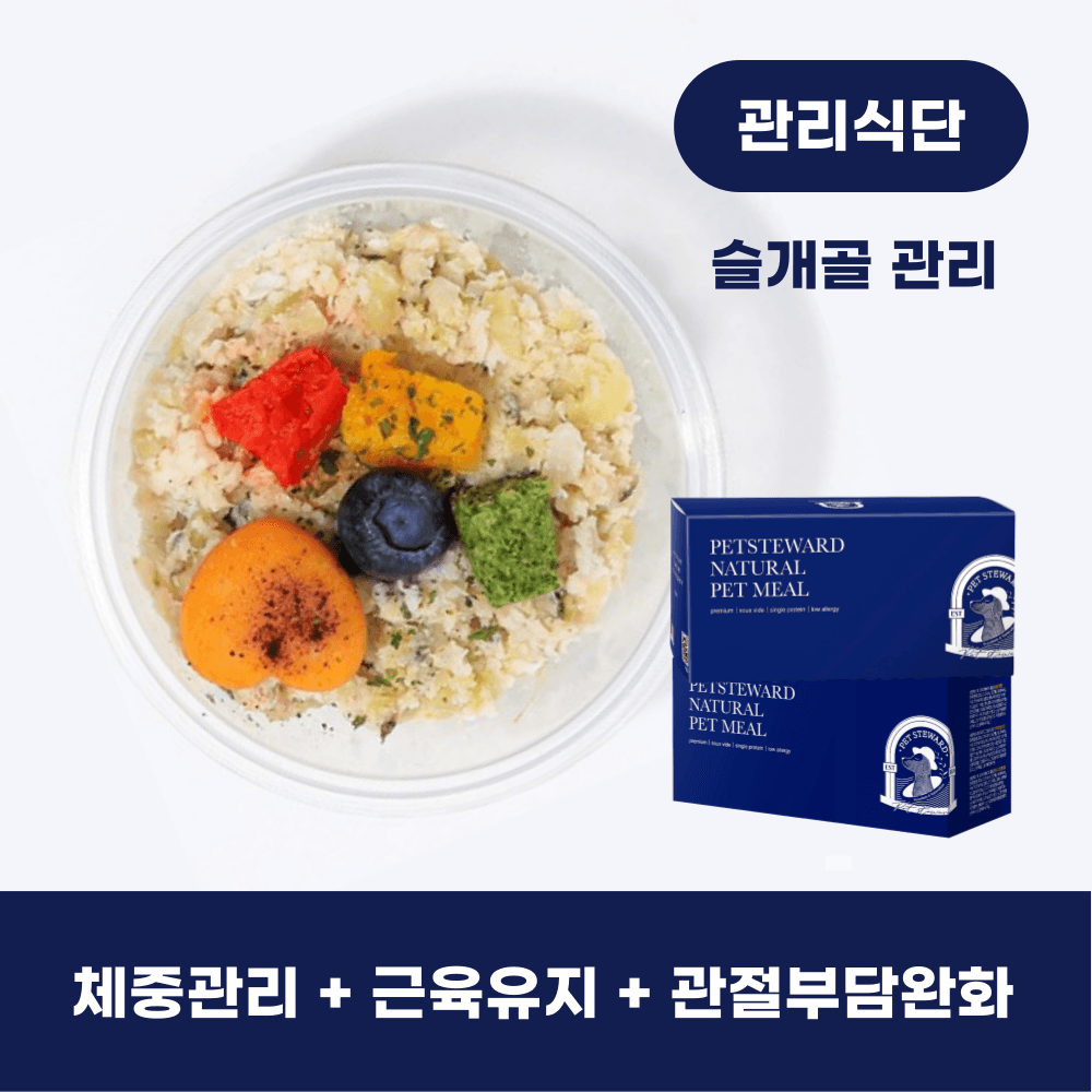 슬개골 관리 관리식단