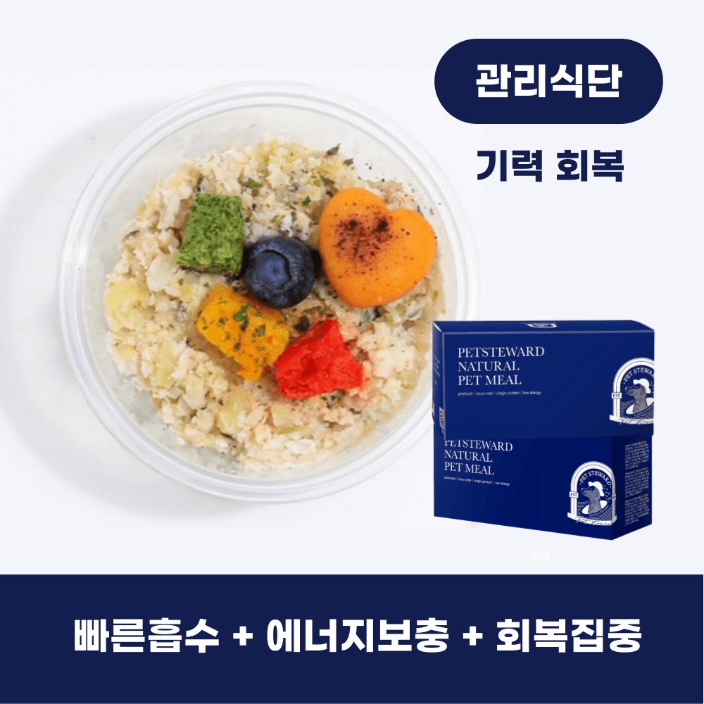 기력 회복 관리식단